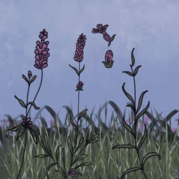 <a href="https://brushes.work/tag/landscape-nature/" rel="tag">landscape/nature</a>, <a href="https://brushes.work/tag/stamp/" rel="tag">stamp</a>, <a href="https://brushes.work/tag/watercolor/" rel="tag">watercolor</a>