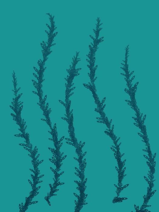 <a href="https://brushes.work/tag/effects/" rel="tag">effects</a>, <a href="https://brushes.work/tag/landscape-nature/" rel="tag">landscape/nature</a>, <a href="https://brushes.work/tag/texture/" rel="tag">texture</a>