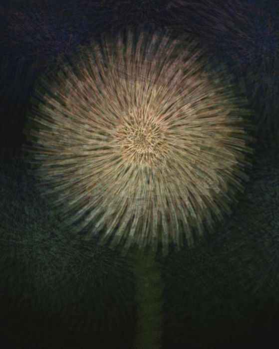 <a href="https://brushes.work/tag/pastel/" rel="tag">pastel</a>, <a href="https://brushes.work/tag/stamp/" rel="tag">stamp</a>, <a href="https://brushes.work/tag/texture/" rel="tag">texture</a>