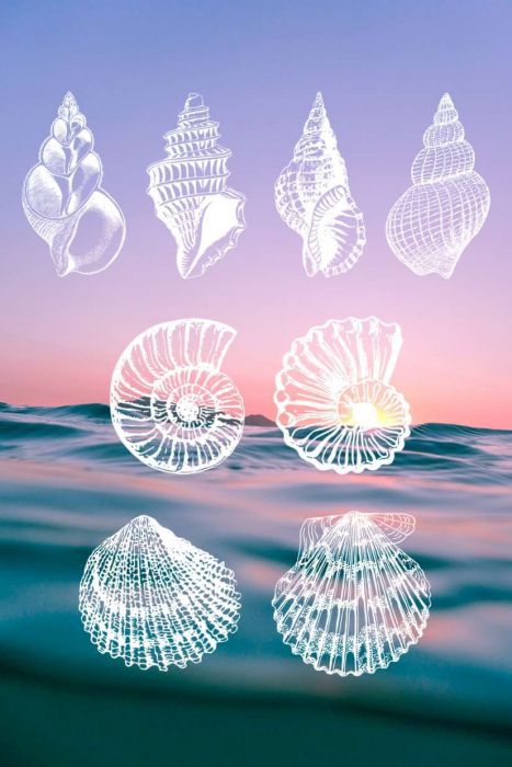 <a href="https://brushes.work/tag/design/" rel="tag">design</a>, <a href="https://brushes.work/tag/stamp/" rel="tag">stamp</a>, <a href="https://brushes.work/tag/texture/" rel="tag">texture</a>, <a href="https://brushes.work/tag/watercolor/" rel="tag">watercolor</a>