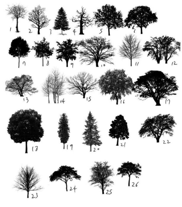 <a href="https://brushes.work/tag/landscape-nature/" rel="tag">landscape/nature</a>, <a href="https://brushes.work/tag/pack/" rel="tag">pack</a>, <a href="https://brushes.work/tag/pencil/" rel="tag">pencil</a>
