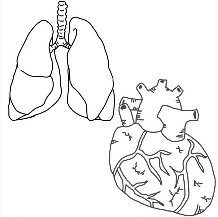 <a href="https://brushes.work/tag/graphics/" rel="tag">graphics</a>, <a href="https://brushes.work/tag/pencil/" rel="tag">pencil</a>, <a href="https://brushes.work/tag/stamp/" rel="tag">stamp</a>