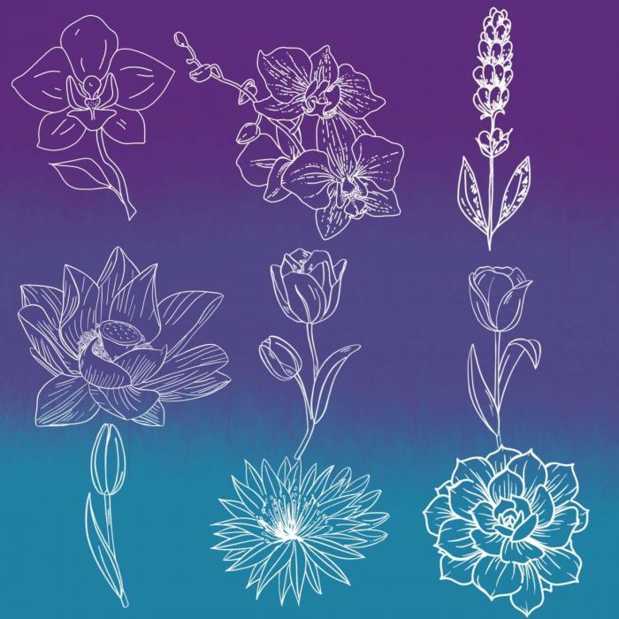<a href="https://brushes.work/tag/design/" rel="tag">design</a>, <a href="https://brushes.work/tag/landscape-nature/" rel="tag">landscape/nature</a>, <a href="https://brushes.work/tag/stamp/" rel="tag">stamp</a>