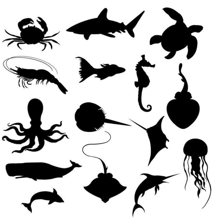 <a href="https://brushes.work/tag/landscape-nature/" rel="tag">landscape/nature</a>, <a href="https://brushes.work/tag/pack/" rel="tag">pack</a>, <a href="https://brushes.work/tag/stamp/" rel="tag">stamp</a>