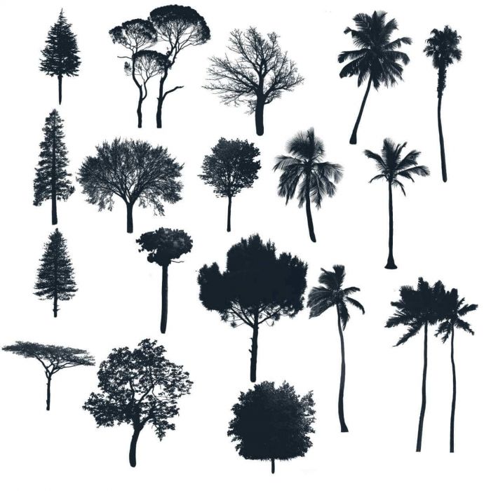 <a href="https://brushes.work/tag/landscape-nature/" rel="tag">landscape/nature</a>, <a href="https://brushes.work/tag/pack/" rel="tag">pack</a>, <a href="https://brushes.work/tag/pencil/" rel="tag">pencil</a>, <a href="https://brushes.work/tag/stamp/" rel="tag">stamp</a>