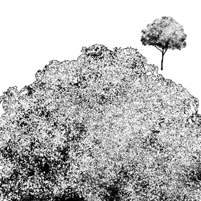 <a href="https://brushes.work/tag/landscape-nature/" rel="tag">landscape/nature</a>, <a href="https://brushes.work/tag/stamp/" rel="tag">stamp</a>, <a href="https://brushes.work/tag/texture/" rel="tag">texture</a>
