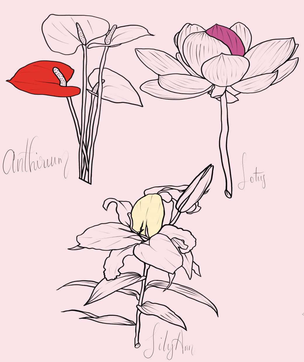 Three Free Flower Stamp Brushes - Free Brushes for Procreate