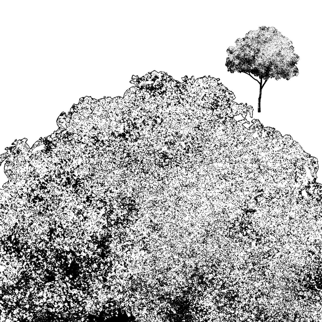Free tree stamp brush - Free Brushes for Procreate